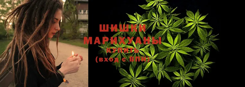 Бошки Шишки конопля  где можно купить наркотик  сайты даркнета состав  Завитинск 